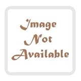 Joe Spencer DEREK DRAGONFLY Fabric Gatered Traditions Fgs71529