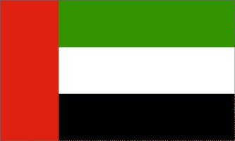 United Arab Emirates Flag NEW 3 x 5 UAE DUBAI Banner