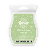 1 X White Tea and Cactus Scentsy Bar Wickless Candle Tart Warmer Wax 3.2 Fl Oz, 8 Squares
