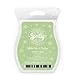 1 X White Tea and Cactus Scentsy Bar Wickless Candle Tart Warmer Wax 3.2 Fl Oz, 8 Squares