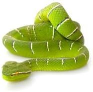 100% Syn-Ake Mimics B-Tox