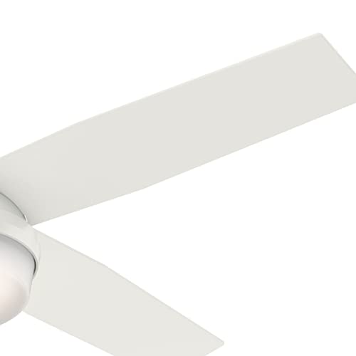 Hunter 59242 Contemporary Modern 52``Ceiling Fan from Dempsey Collection in White Finish,