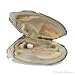 Official Precious Pearl by KW Products, Cultured Pearl in Oyster Key Pendant