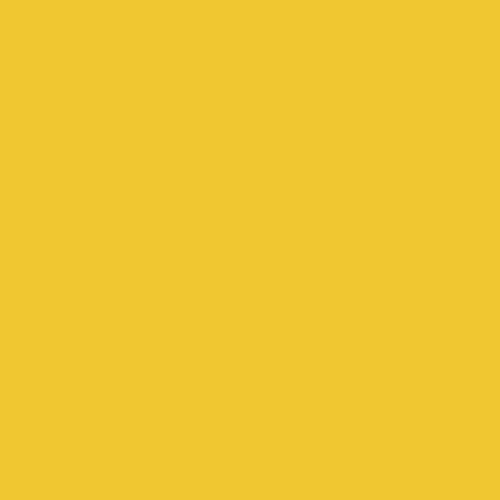 Jacquard Neopaque 2.25 Oz 581 Gold Yellow
