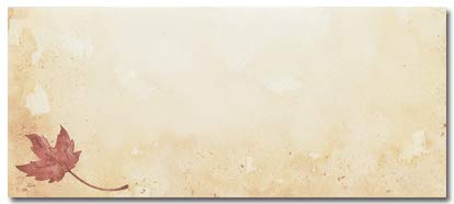 Fall Leaves #10 Envelopes - 100 Envelopes - For Stationery, Letters, Invitations