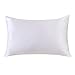 Natural Mulberry Silk Pillowcase for Hair and Skin Standard Size with Hidden Zipper, Ultra Smooth and Soft Breathable Cooling Silk Pillow case, Gifts for Women Men, 1pc (Silver, 20