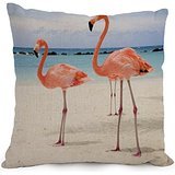 18 X 18 Inches / 45 By 45 Cm Flamingo Throw Pillow Case ,2 Sides
Ornament And Gift To Bar,kids,teens Girls,deck Chair,divan,bedding