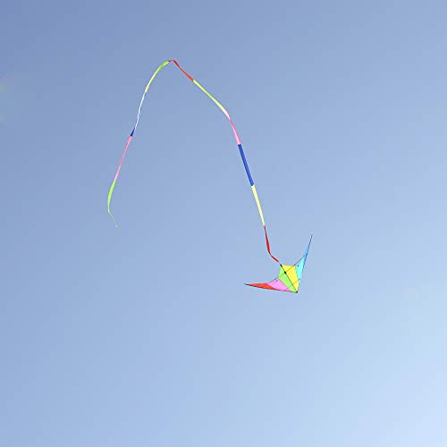 Kite Tail,Flat Ribbon Streamer Rainbow Multi Color (Multi Color), 49 Feet