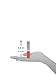 Maybelline New York BABY LIPS Moisturizing Lip Gloss #60 Berry Chic 0.18 Fluid Ounce