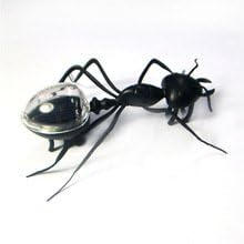 Toys Magic Solar Powered Ant Insect Play &amp; Learn Educational Solar Novelty Toys