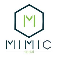 Mimic Social Simulation