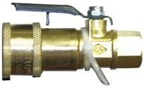 1/4 Fpt Valve Quik Disc C - LP-FQDFIT-FV