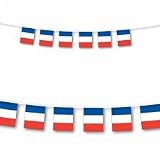 French Flag France String Flags Banner 33ft Decoration