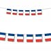 French Flag France String Flags Banner 33ft Decoration