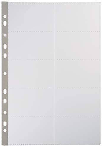 Viquel 152273 Dokumenthüllen, 11 Löcher, 10 Stück