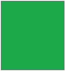 Faber-Castell Pitt Artist Big Brush Pen Leaf Green 112