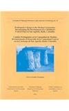 Prehispanic Change in the Mesitas Community: Documenting the Development of a Chiefdom's Central Place in San Agustín, Huila, Colombia = Cambio Prehispánico en la Comunidad de Mesitas : Documentando el Desarrollo de la Comunidad Central en un Cacicazgo de San Agustín, Huila, Colombia, Gonzalez Fernandez, Victor, 1877812846