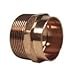 Libra Supply DWV Wrought Copper 2'' , 2 inch, 2-inch Male Adapter C x M, (click in for more size options)DWV Copper Pressure Pipe Fitting Plumbing Supply