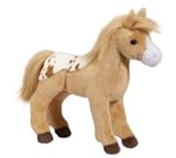 Diana Golden Appaloosa