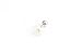 Infinitine Stainless Steel 16g 16Gauge Bridesmaid Gift Star Snowflake Constellation Shapled Floral White Mother of Pearl Flower Ear Studs Piercing Earring P1653