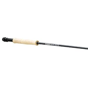 Sage Pêche à La Mouche Fond De Teint Fly Rod