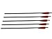 22" Headhunter Arrows - w/Field Pt/Moon Nock - 5 Pack primary
