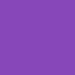 rooCASE Ultra-Slim (Purple) Vegan Leather Folio Case for Google Nexus 7 Tablet (Built-in sleep/wake feature)