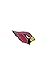 aminco NFL Arizona Cardinals Team Logo Pin, 1.0