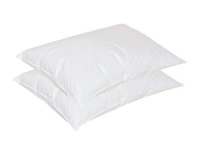 home goods pillow inserts