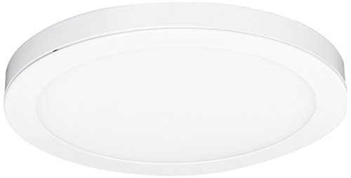 Commercial Electric 11 in. White LED Edge-Lit Flat Round Panel Flushmount