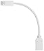 Fosmon Mini DVI Male to HDMI Female Video Adapter Cable AD-MDVI-HDMI - Nickel Plated