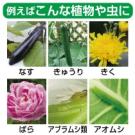 アース製薬 ガーデントップ 1000ml