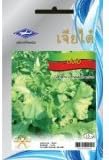 Garland Chrysanthemum (900 Seeds) Seeds - 1 Package From Chai Tai, Thailand
