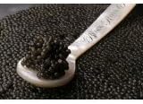 Black River Caviar: Imperial Russian Oscietra Caviar- 500g BRL