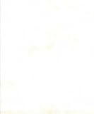 Moda Fabrics Compositions by BasicGrey Grunge White Paper