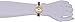 Fossil Women's ES3314 Virginia Three Hand Stainless Steel Watch - Gold-Tone with Tort