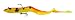 Okuma Fishing Tackle Savage Gear Real Eel Prerigged Slow Sinking Lure, Golden Ambulance, 12-Inch - 2 3/4-Ounce