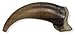 Skulls Unlimited Gray Wolf Claw (4cm) (Museum Quality Replica)