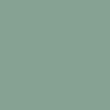 PANTONE SMART 16-5907X Color Swatch Card, Granite Green