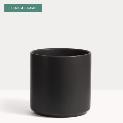 PEACH & PEBBLE 10 Inch Black Ceramic Planter. Classic Cylinder Plant