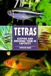 Tetras Keeping and Breeding Them In Captivity