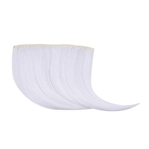 Kaned Colorful Hair Bangs Wig Clip Seamless Piece Tassel Clip Hair Extension Wig Accessory Hairstyle,Pure White (CLH-60#)