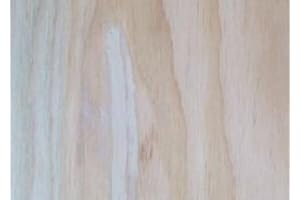 CAPITOL CITY LUMBER 3/8” Marine Grade Plywood 2’ x 4’