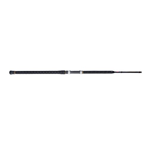 Penn Carnage II Surf Casting Rod, 12-Feet/Extra Heavy