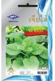 Ceylon Spinach (90 Seeds) Seeds - 1 Package From Chai Tai, Thailand