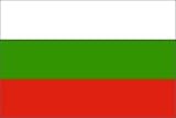 NEW 3x5 Bulgaria National Flag 3 x 5 Bulgarian Banner