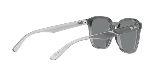 Ray-Ban (レイバン) サングラス RB4392D TRANSPARENT GREY (グレー) 66 645087 アジアンフィット