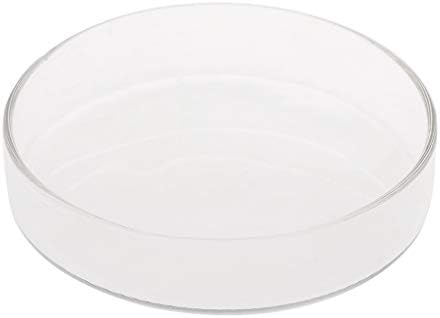 โคNew Arrival Fish Tank Feeder Aquarium Shrimp Glass Feeding Bowl Dish Tray 6 Size