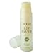 Aveda Lip Saver SPF 15-4.25g/0.15oz