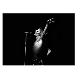 Rod Stewart by Carl Dunn